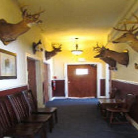 Macarthur Inn Narrows Exterior foto